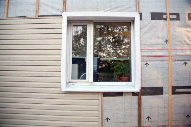 Best Construction Debris Removal  in Essex, MD