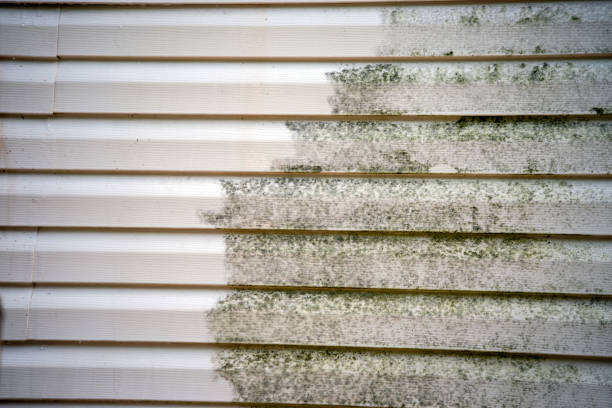 Best Mattress Disposal  in Essex, MD