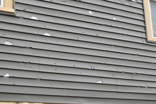 Best Property Management Cleanouts  in Essex, MD